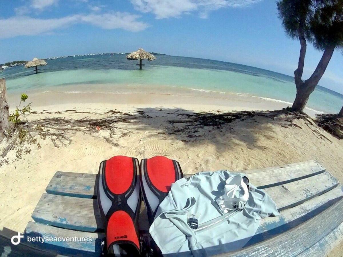 The Venue - Utila Hostel Bagian luar foto