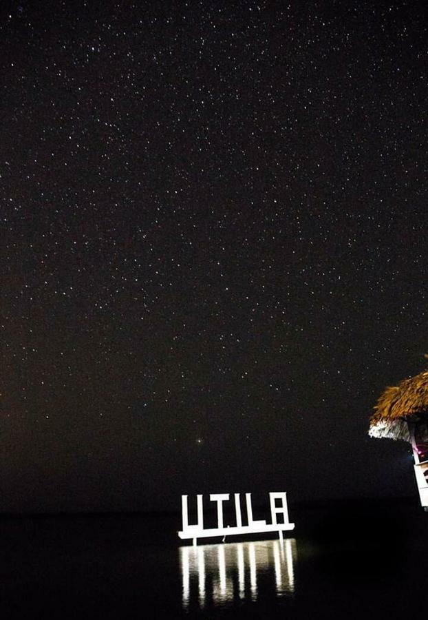 The Venue - Utila Hostel Bagian luar foto